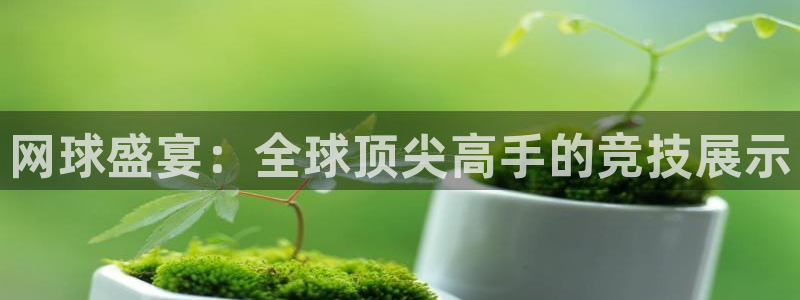 意昂2:网球盛宴:全球顶尖高手的竞技展示