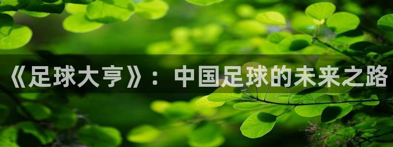 意昂2体育平台:《足球大亨》:中国足球的未来之路