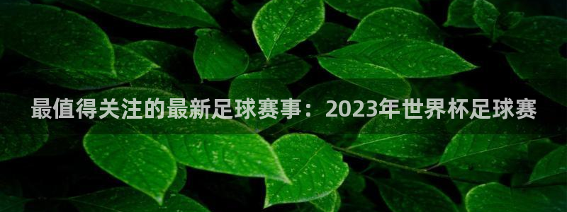 意昂2代理注册:最值得关注的最新足球赛事:2023年世界杯足